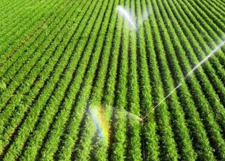 Agriculture